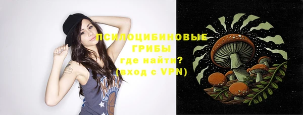дурь Липки