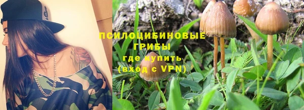 дурь Липки