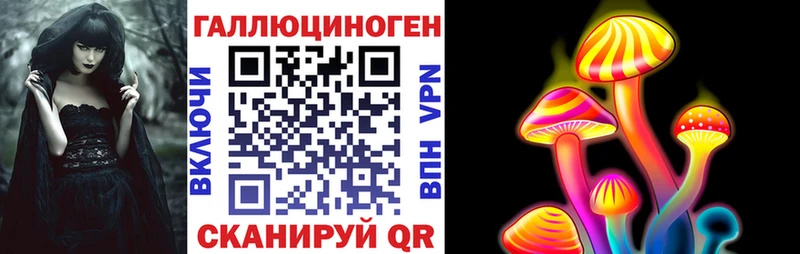 Купить закладки  Асино  Псилоцибиновые грибы Psilocybe 