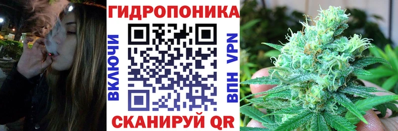 Шишки марихуана Amnesia  Купить  Асино 